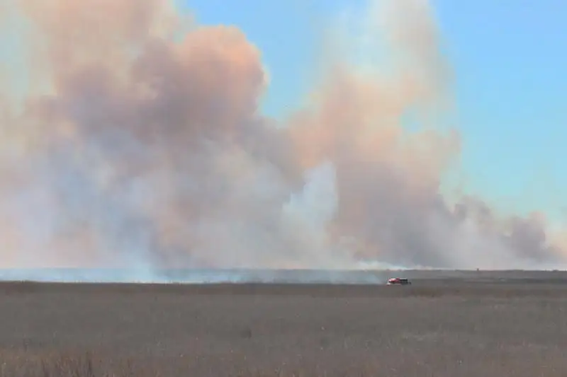 В Атырау ликвидируют пожар в природном заповеднике
