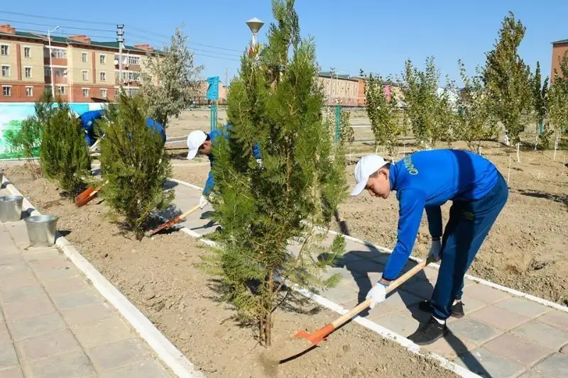 Во всех учебных заведениях Кызылординской области прошел экологический час