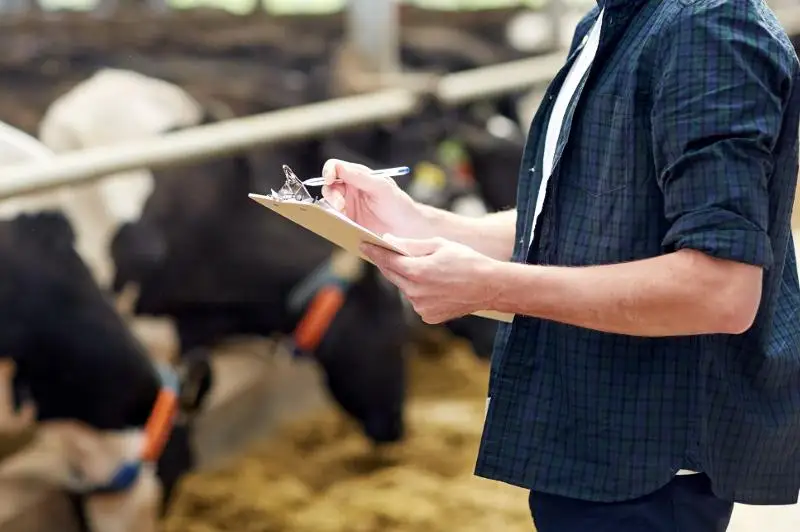 Изучают основы бизнеса и открывают фермы сельчане в СКО