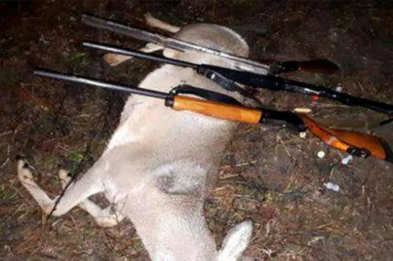 Браконьеров с тушей косули задержали в Костанайской области