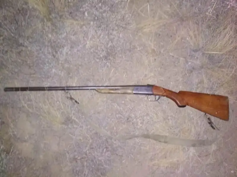 Двух браконьеров задержали в Карагандинской области