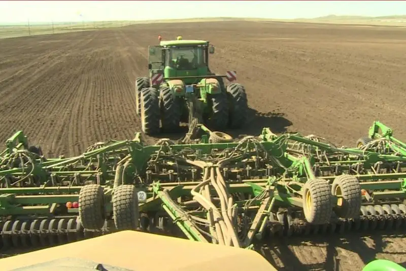 Спасти, чтобы пасти: в Карагандинской области восстанавливают пастбища