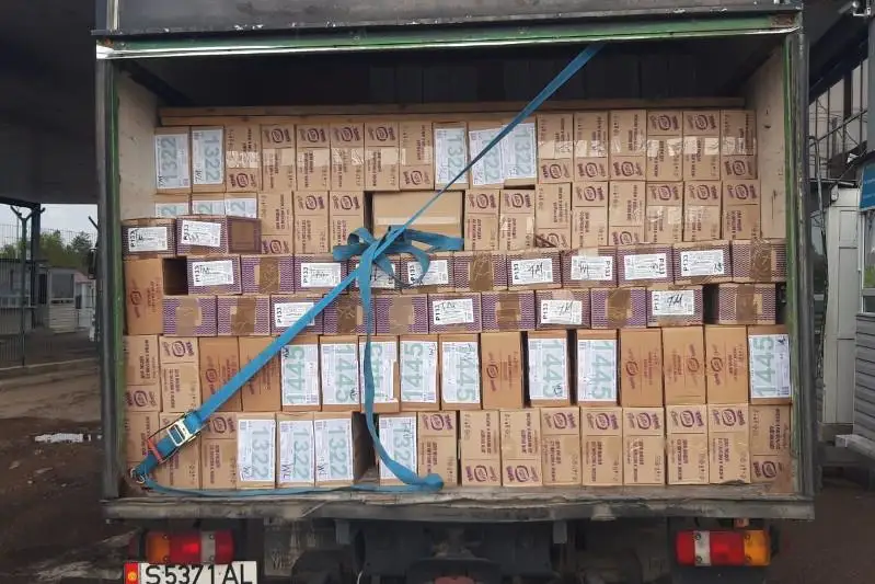 Незаконный провоз груза и девяти автомашин через границу пресекли в Жамбылской области