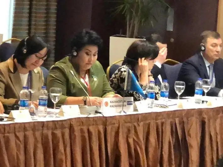 В ТюркПА обсудили вопросы сближения законодательств в области кино и анимации