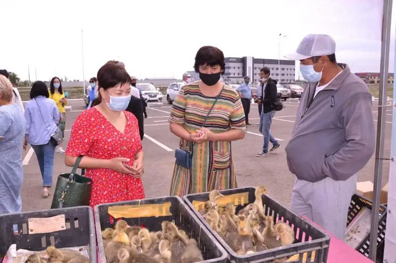 42 миллиона тенге на реализацию новых бизнес-идей получили жители сел ЗКО