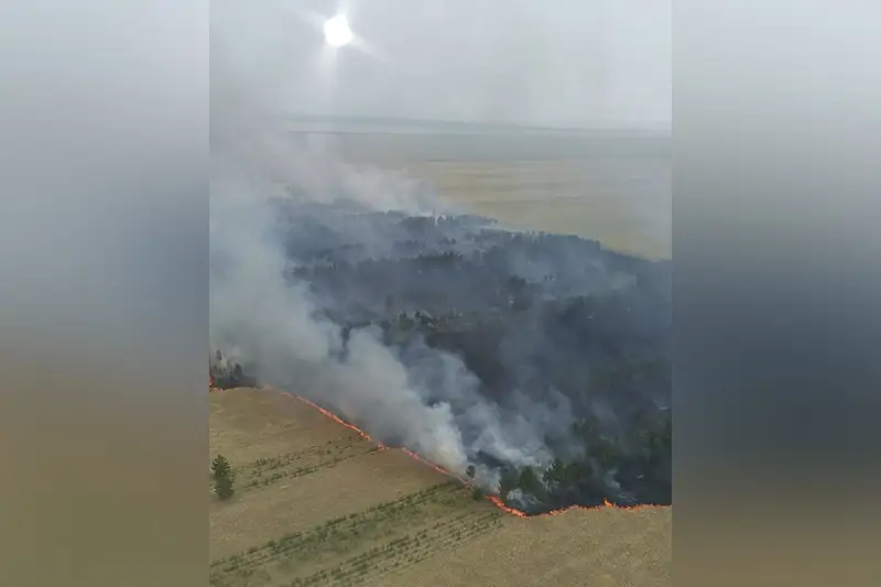 От грозового разряда вспыхнул пожар в природном резервате «Ертіс орманы»
