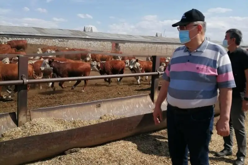 Фермеры Восточного Казахстана рассказали сенатору о проблемах в животноводстве