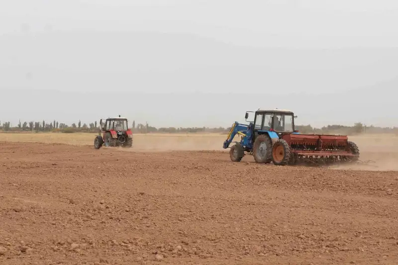 Посевные площади под рапс увеличивают жамбылские аграрии