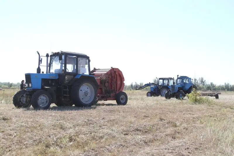 Фермеры Уральска заготовили вдвое меньше грубых кормов