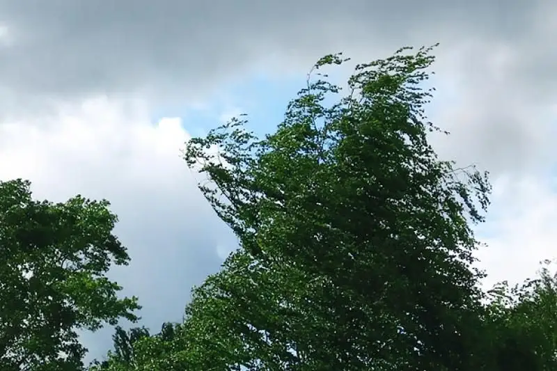 Гроза и сильный ветер ожидаются на западе Казахстана