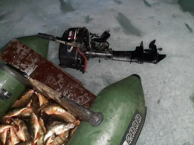 Браконьеров со 150 кг рыбы задержали в Алматинской области