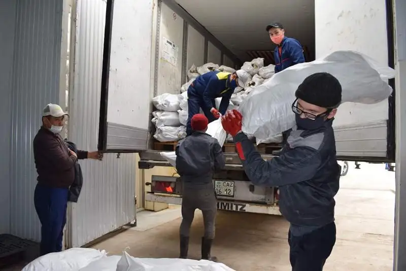 Из Атырау в Мактаарал прибыло 20 тонн рыбы