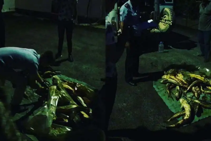 Браконьеров с 65 кг краснокнижной рыбы задержали в Мангыстауской области