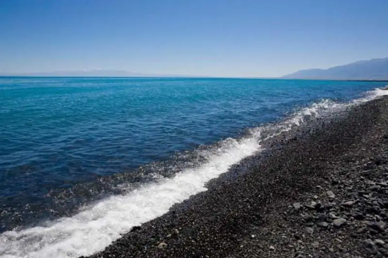 Что показали пробы воды на Алаколе