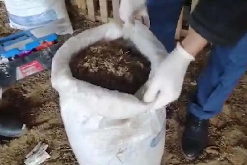 Более 3 тонн наркотиков изъяли из незаконного оборота жамбылские полицейские