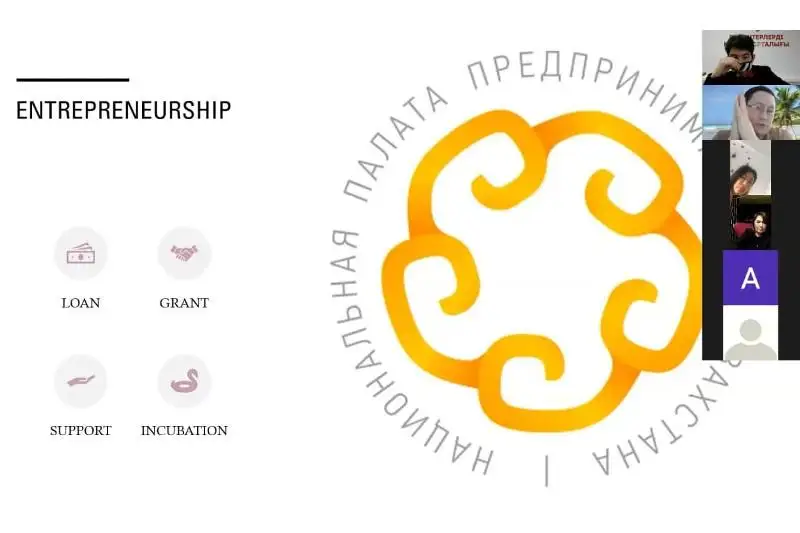 Акмолинская молодежь встретилась с предпринимателями в онлайн-режиме