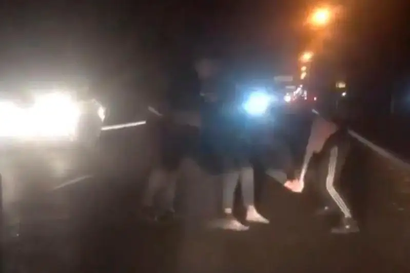 Ночную драку на дороге сняли на видео в Алматы