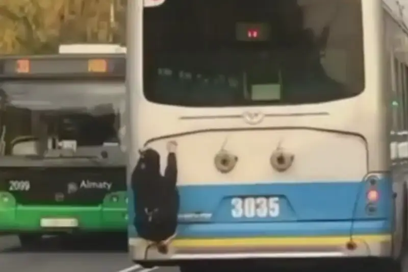 Экстремал прокатился по Алмате, зацепившись за троллейбус