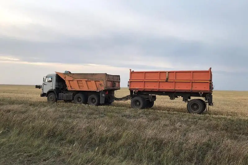Пшеницу на 2 млн тенге пытался вывезти с поля житель СКО