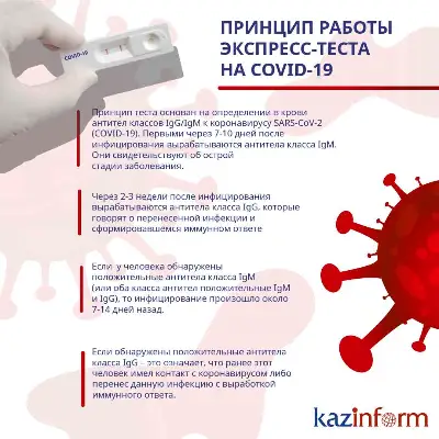 Принцип работы экспресс-теста  на COVID-19