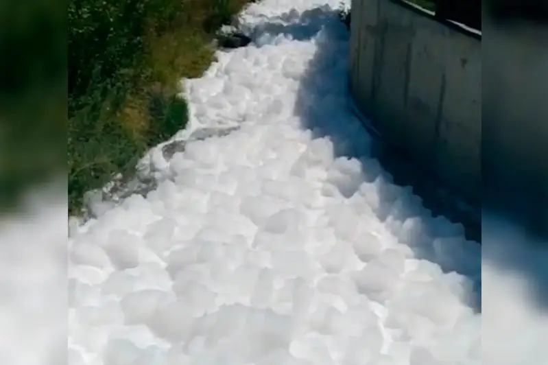 Минэкологии исследует случай обнаружения пены в реке Каргалы в Алматы