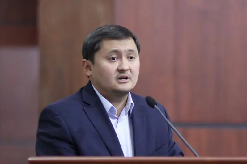 Запустить программу ликвидации цифровой безграмотности предложил Саясат Нурбек