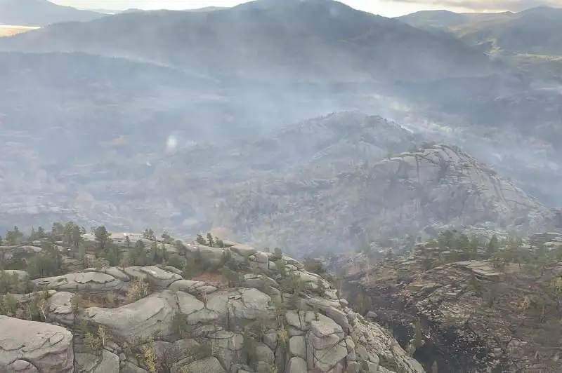 Подробности пожара в Баянаульском нацпарке рассказал Ерлан Тургумбаев