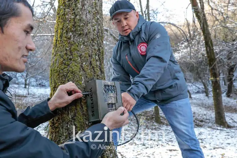 Как в Казахстане будут бороться с браконьерами