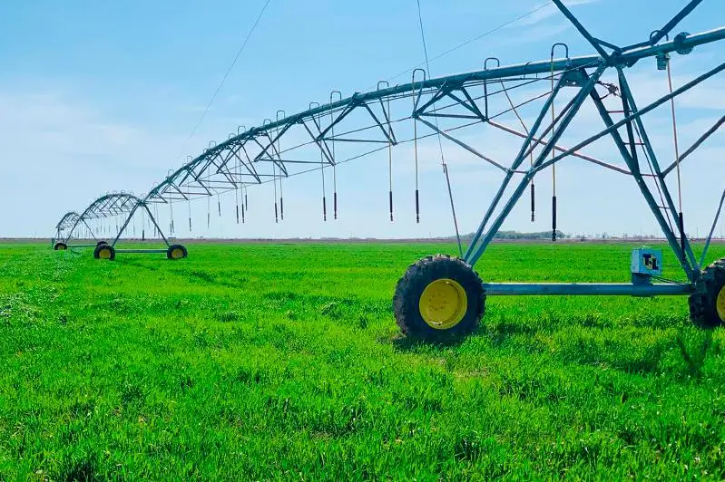 Объем сельскохозяйственной продукции достиг 64 млрд тенге в Кентау