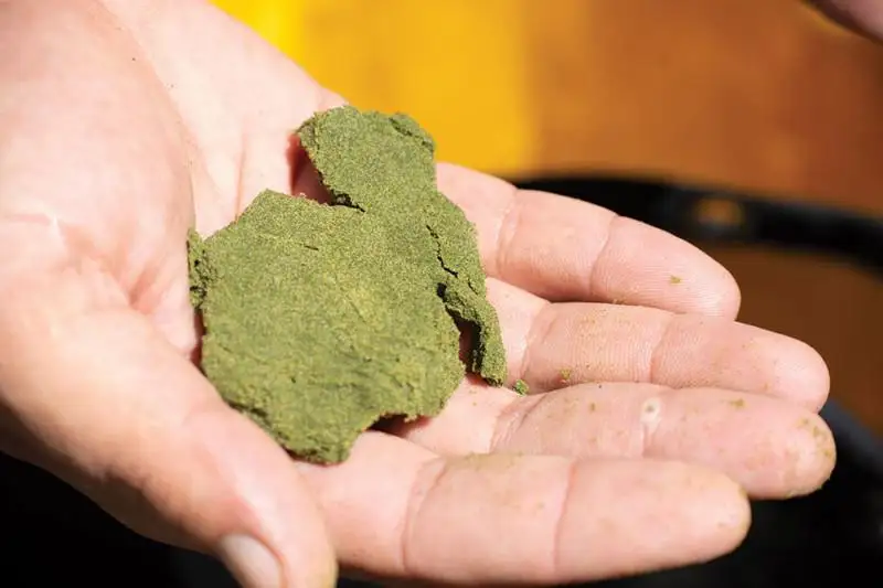 Полицейские изъяли большую партию наркотиков в Костанайской области