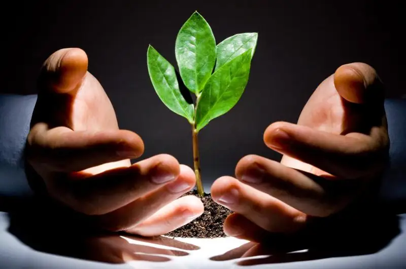 Актюбинцы помогут Минэкологии составить план по решению проблем региона