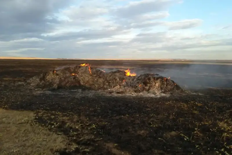 Степной пожар произошел в Костанайской области