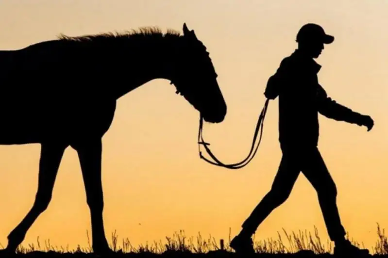 Пастухов-скотокрадов задержали в Жамбылской области