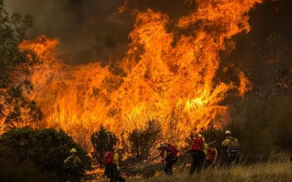 Калифорния из-за крупных лесных пожаров попросила о помощи