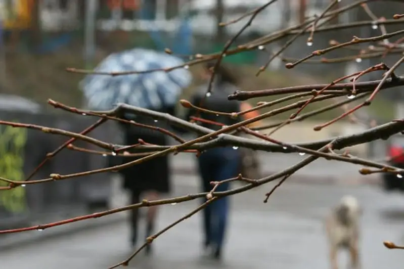 Похолодание ожидается в Казахстане в ближайшие трое суток