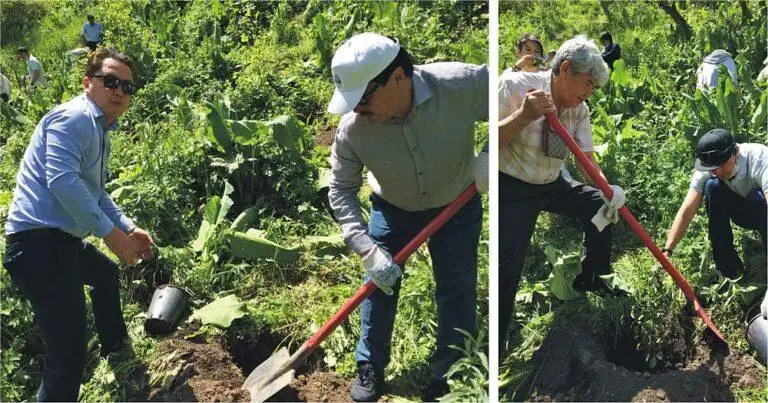 Сто саженцев яблони Сиверса высадили в Иле-Алатауском национальном парке