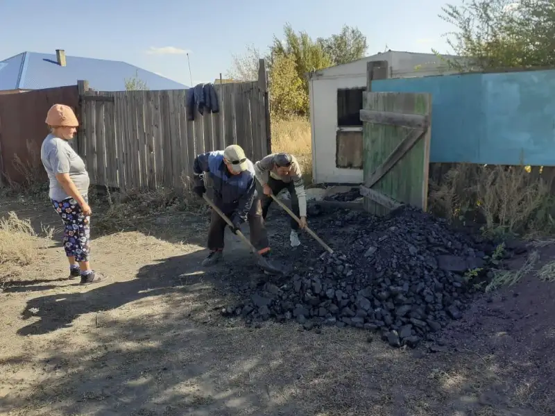 Бездомным животным помогают осужденные Карагандинской области