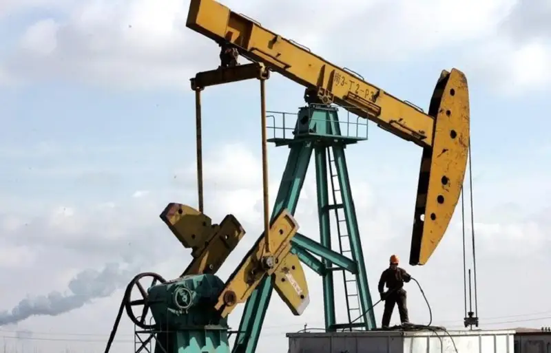 Резкий спад мирового спроса на нефть спрогнозировали страны ОПЕК
