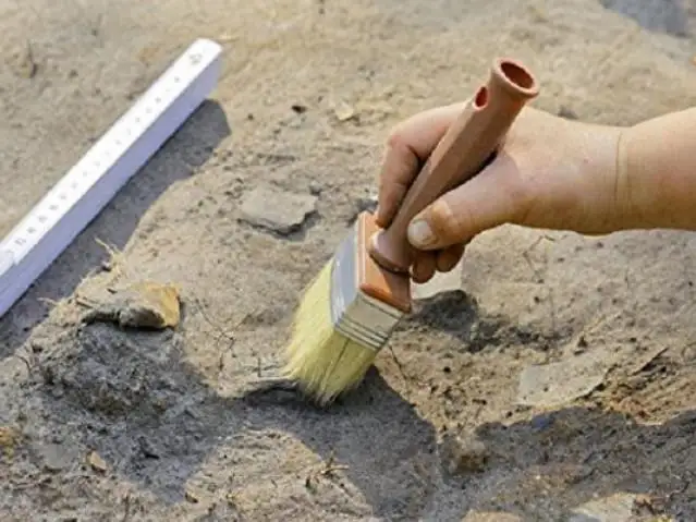 Столичные волонтеры участвуют в археологических раскопках в ВКО