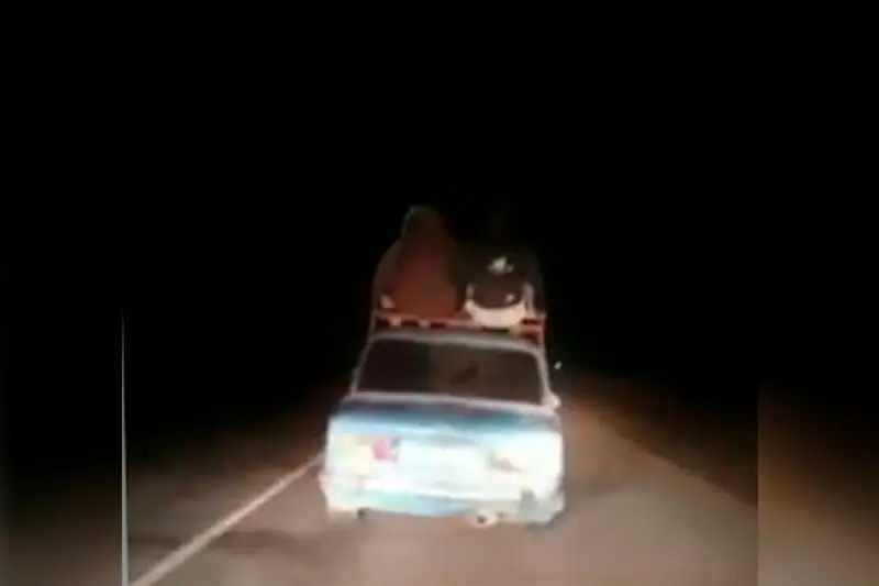 Возил людей на крыше автомашины житель Туркестанской области