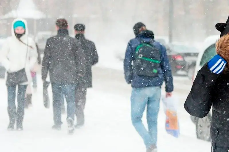 О метели предупредили североказахстанцев