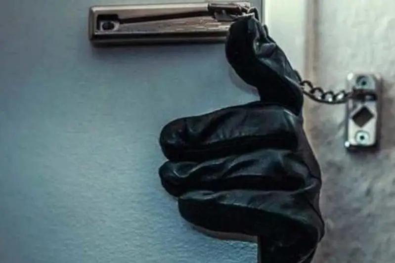 Братьев-домушников задержали столичные полицейские