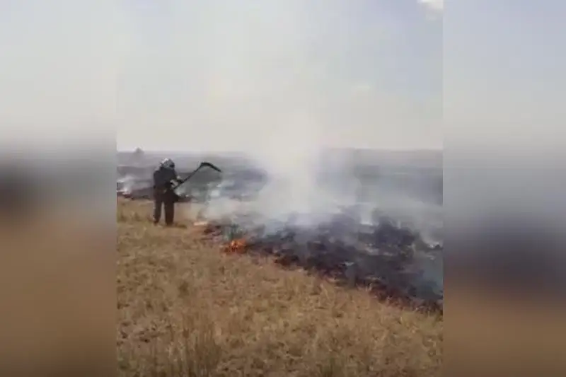 Пять степных пожаров за сутки произошло в Карагандинской области