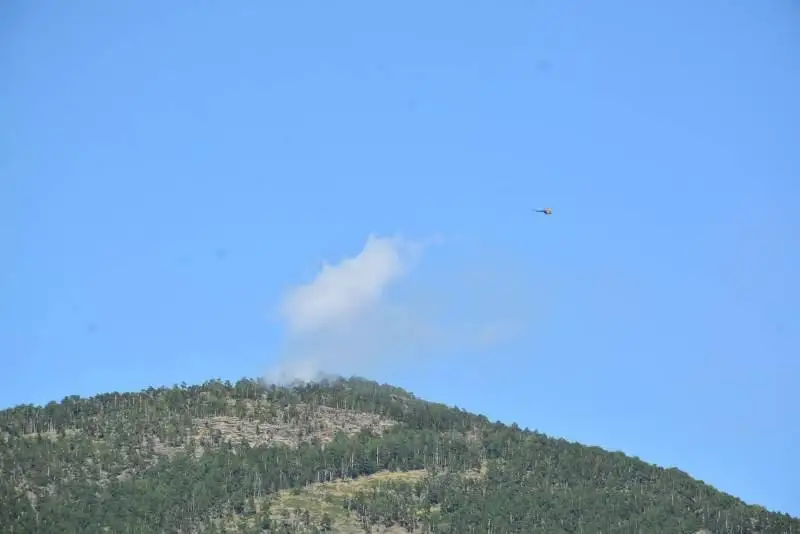 Лес на горе Жеке Батыр горит в Акмолинской области