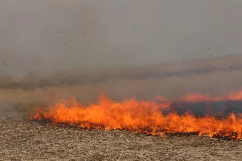 Горят степные массивы в ВКО