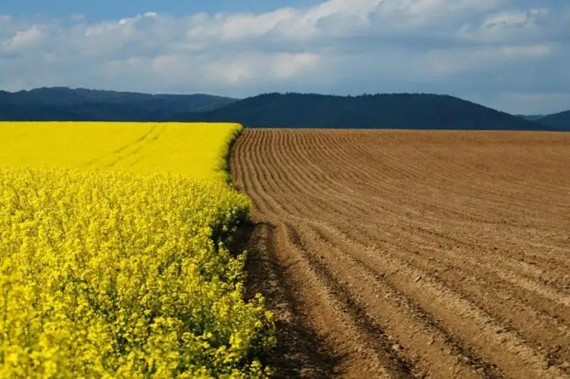 Освоить пустующие земли возле населенных пунктов намерены  в Мойынкумском районе Жамбылской области