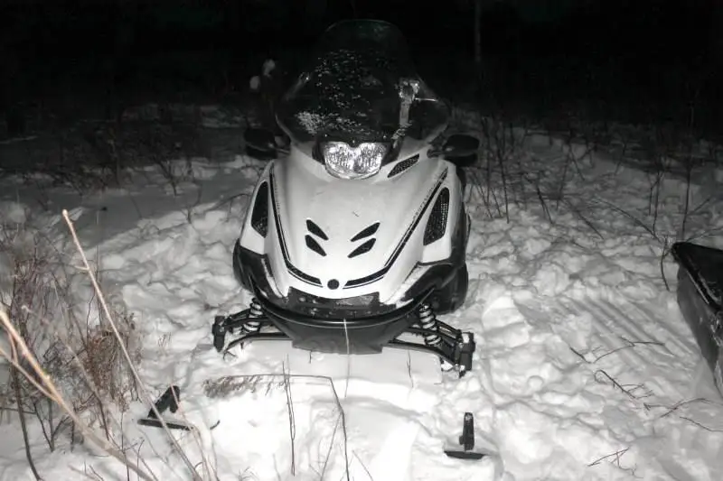 С двумя тушами кабана и тушей косули задержали браконьеров в Акмолинской области