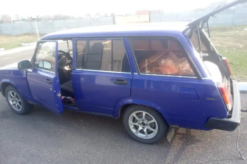 Косулю застрелили браконьеры в СКО