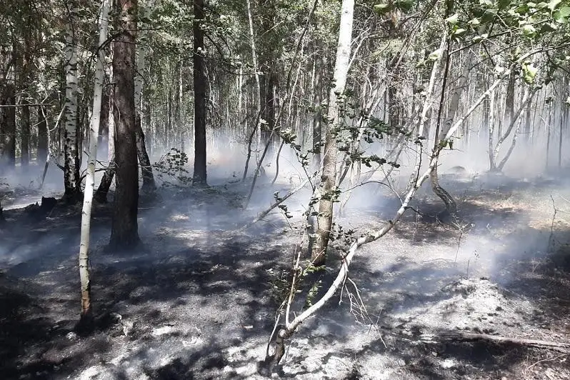 Молния стала причиной пожара в Бурабае