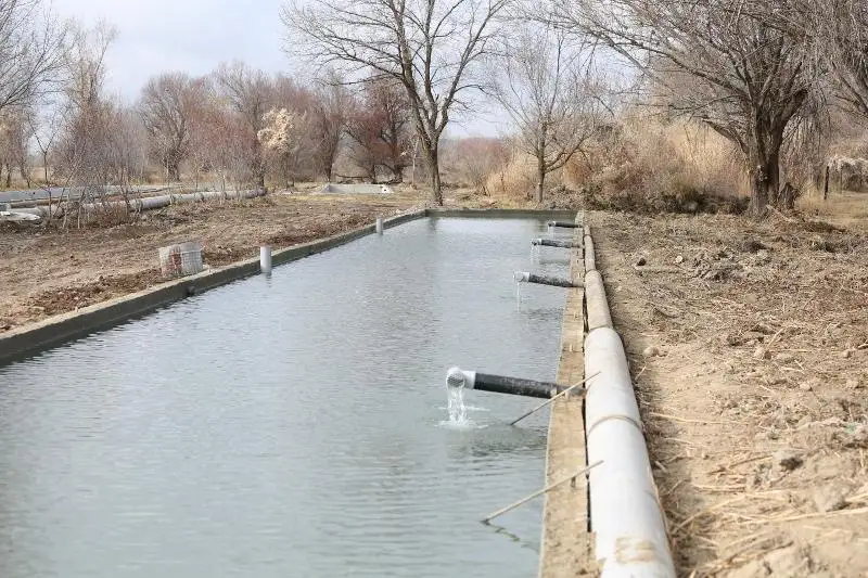 В Жамбылской области заработают восемь форелевых хозяйств